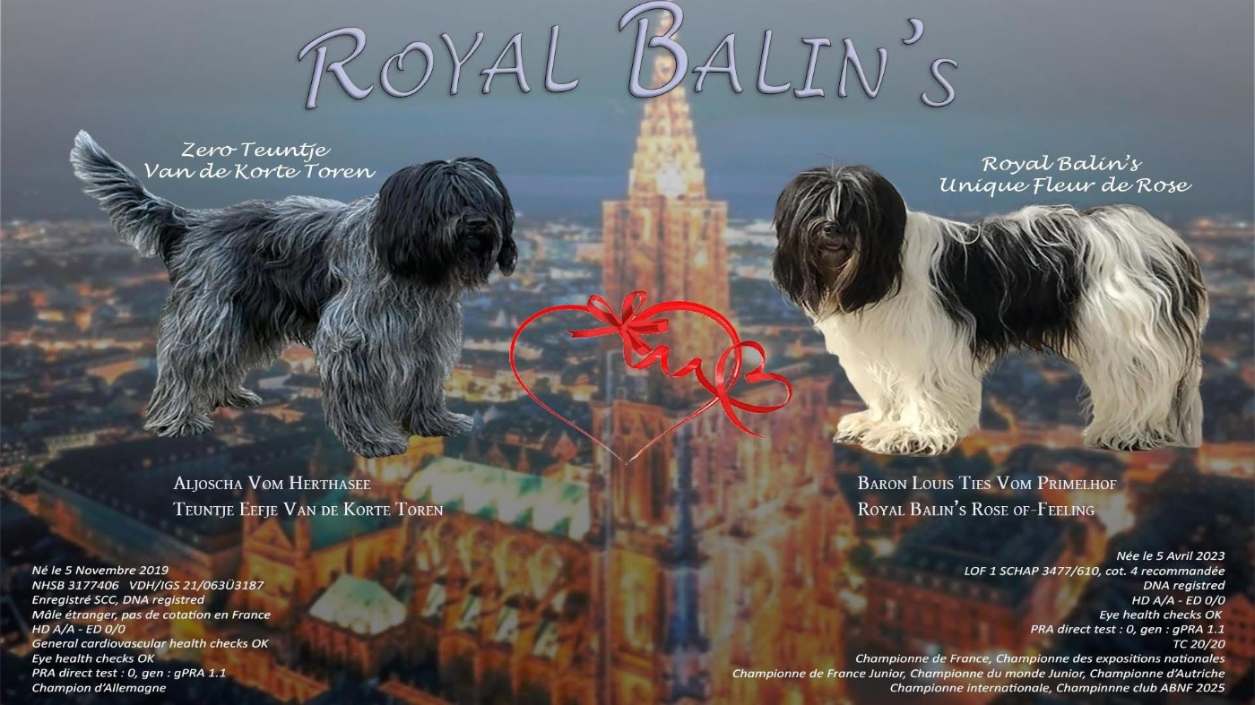 Royal Balin's